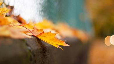 白癜风到底能不能治好呢 白癜风到底能不能治好呢.jpg